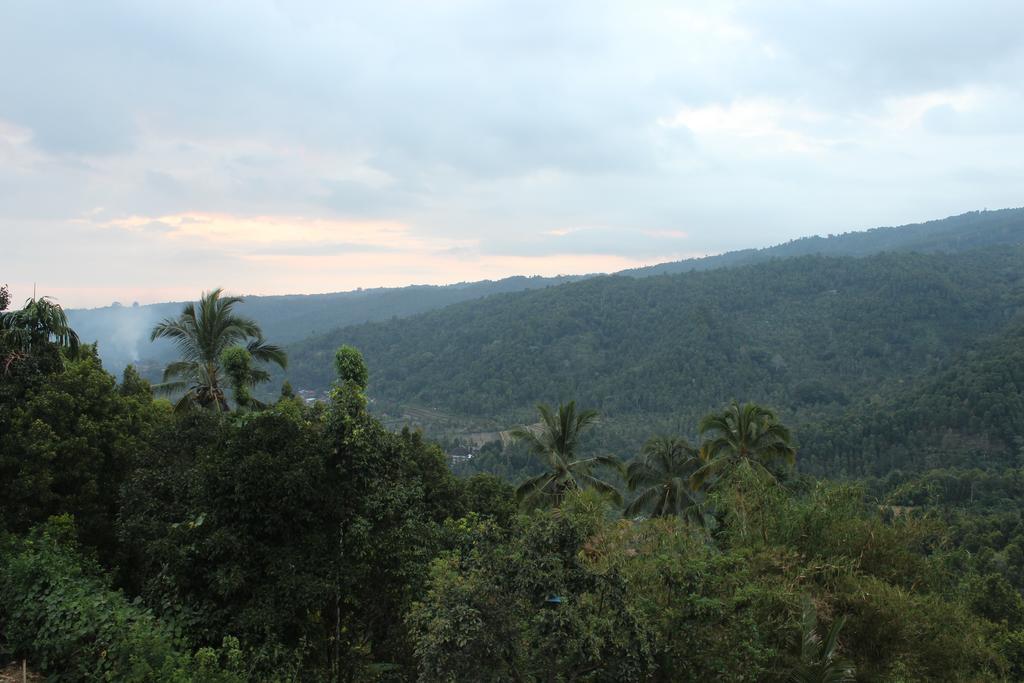 Maliana Homestay Munduk Exterior foto